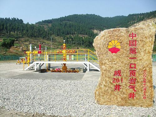 參與完成中國(guó)第一口頁(yè)巖氣井的試用開(kāi)發(fā)